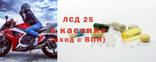 индика Верхний Тагил