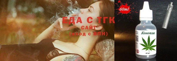 индика Верхний Тагил