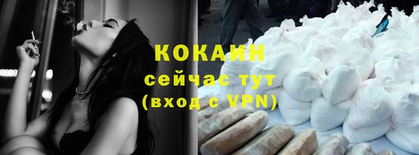 индика Верхний Тагил