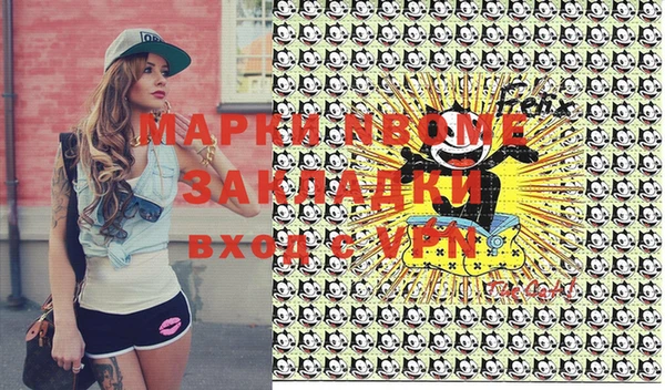 индика Верхний Тагил
