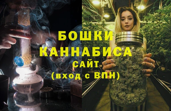 индика Верхний Тагил
