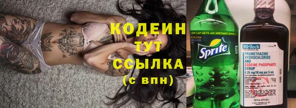 таблы Бородино