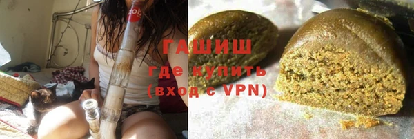 индика Верхний Тагил