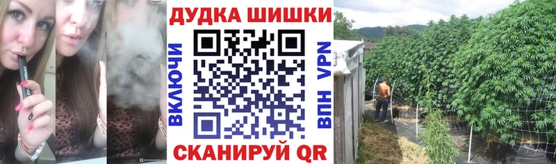 купить   Златоуст  Бошки Шишки OG Kush 